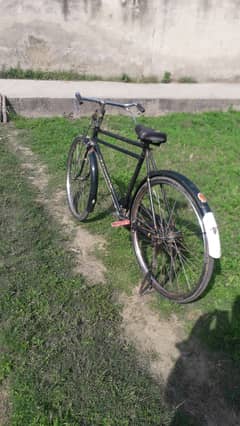 Original china cycle