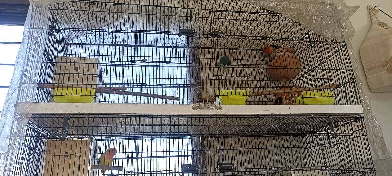 For Sale with 2 Cage. 2