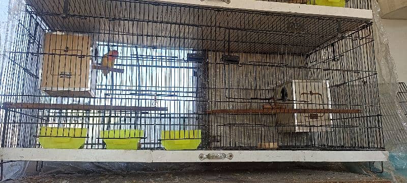 For Sale with 2 Cage. 3