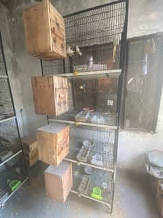 4 portion Birds Cage. Good wiring and angles