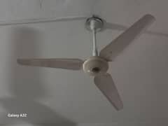 3 Millat Ceiling Fans for sale