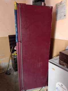 Orient Refrigerators & Fridge