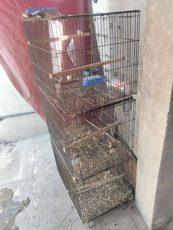 birds cages for sale 3