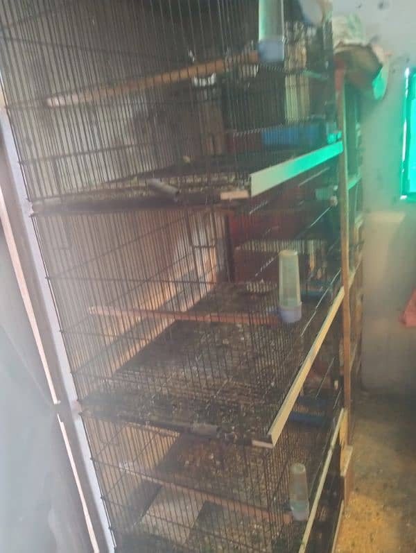 birds cages for sale 4