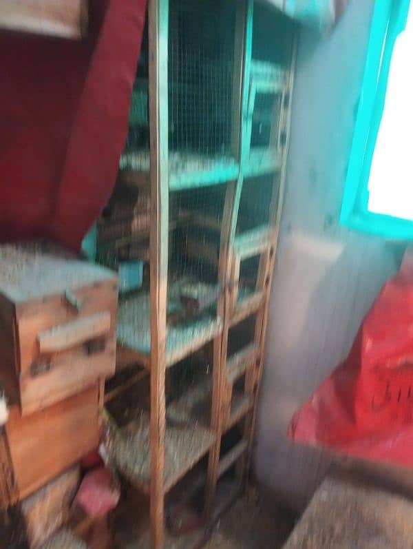 birds cages for sale 5