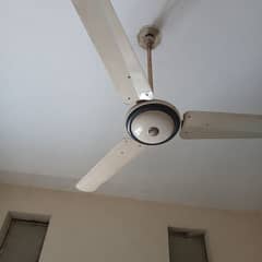 ceiling fan good condition