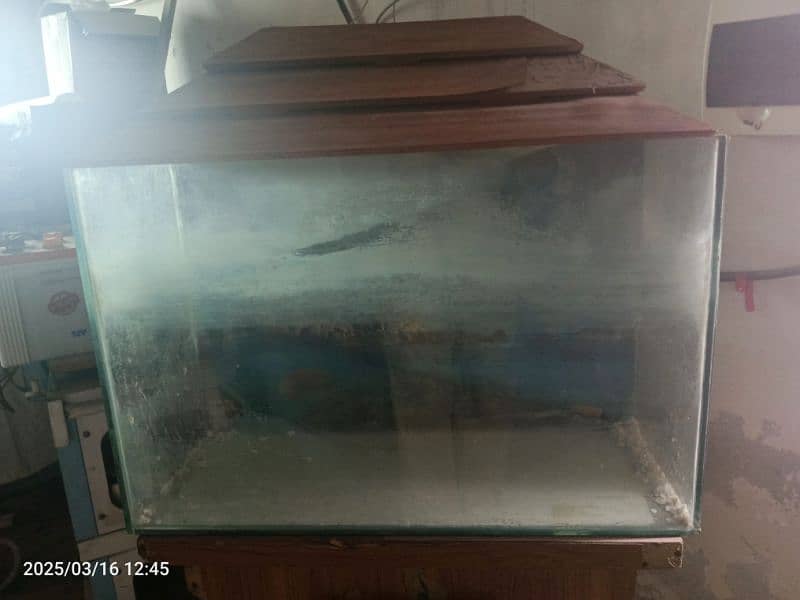 Used Aquarium for sale 2