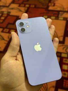 Apple iphone 15 128gb jv ice blue scratchless 10by10