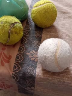 tennis balls/ cricket ball