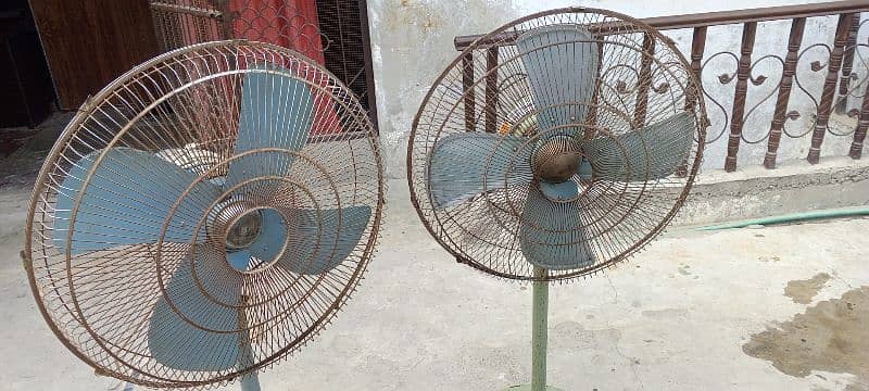 two table fan 1