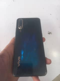 vivos1