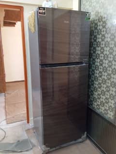 Haier full size fridge