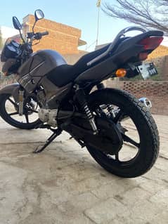 Ybr125