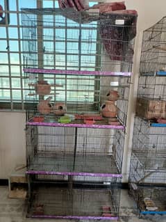 Master folding Cage for sale 8 portion