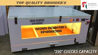 Brooders For Chicks Are Available In All Qualities And Categories .