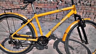 Amazing Beautiful Sport Cycle For Sell