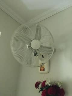 used Bracket / Wall fan for sale