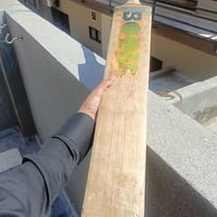 Professional Hardball Cricket bat