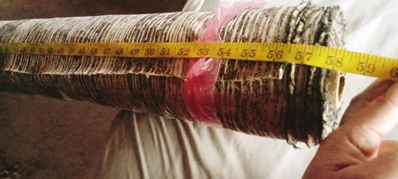 curtain roll 3