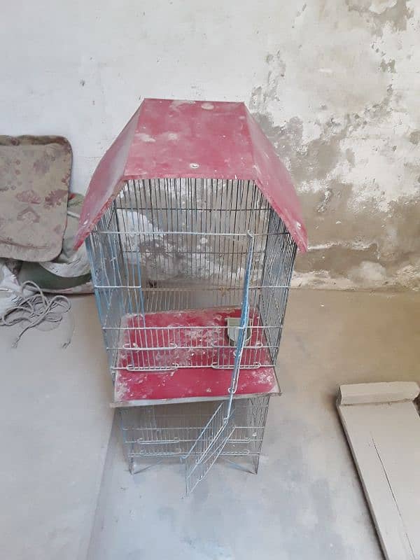 Iron cage for birds 3