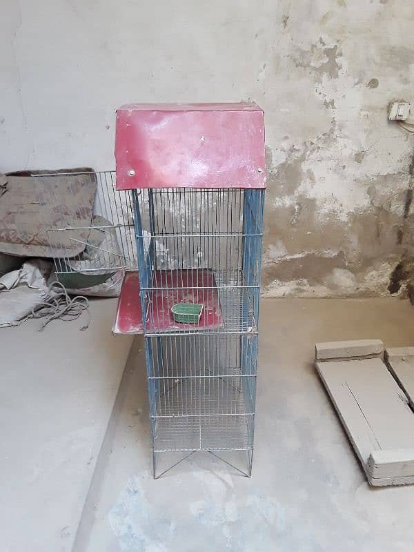 Iron cage for birds 4