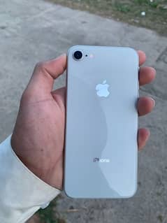 iphone 8 pta approved 64gb 10/10