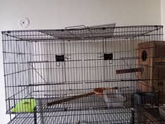 Partition Folding Cage Available With Ringneck Breeding Box