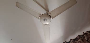 Ceiling Fans Used Like New