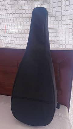 Acoustic Guitar