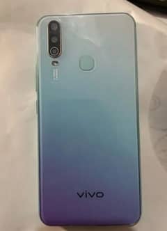 vivo