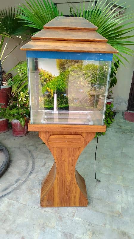 fish aquarium 0