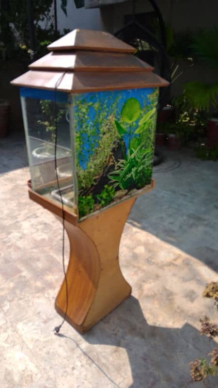 fish aquarium 1