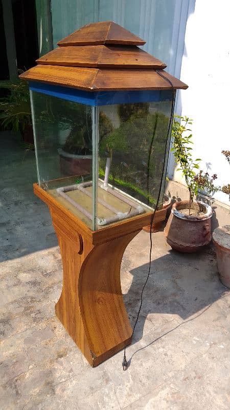 fish aquarium 2