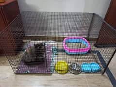 large cage pinjra jet box with other accessories for cat dog birds