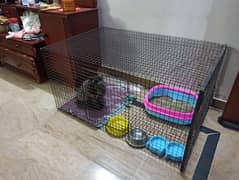 large Cage pinjra jet box other accessories for cat and dog