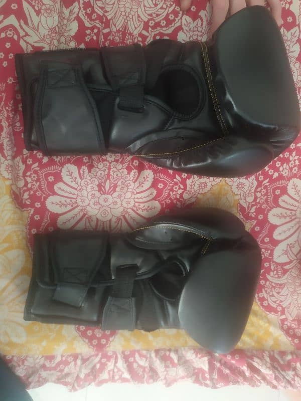 boxing bag with boxing gloves 2