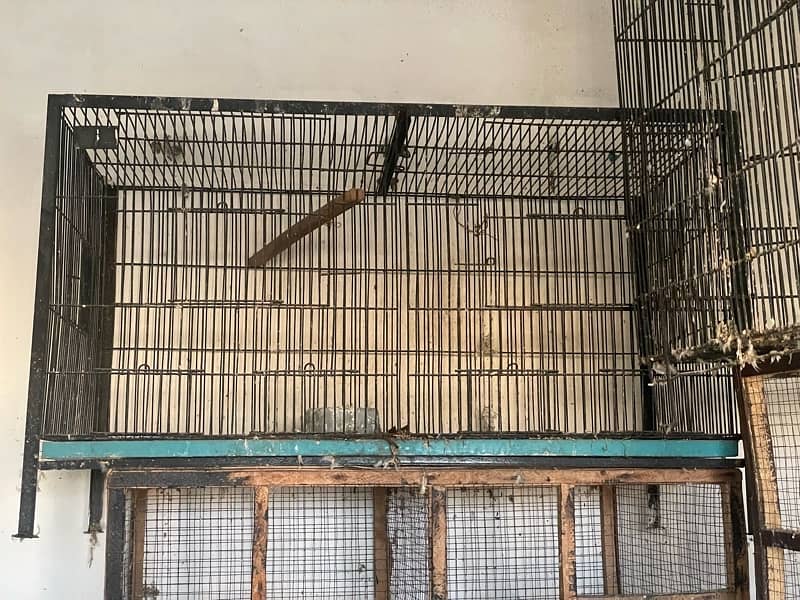 Cages for Sale 0