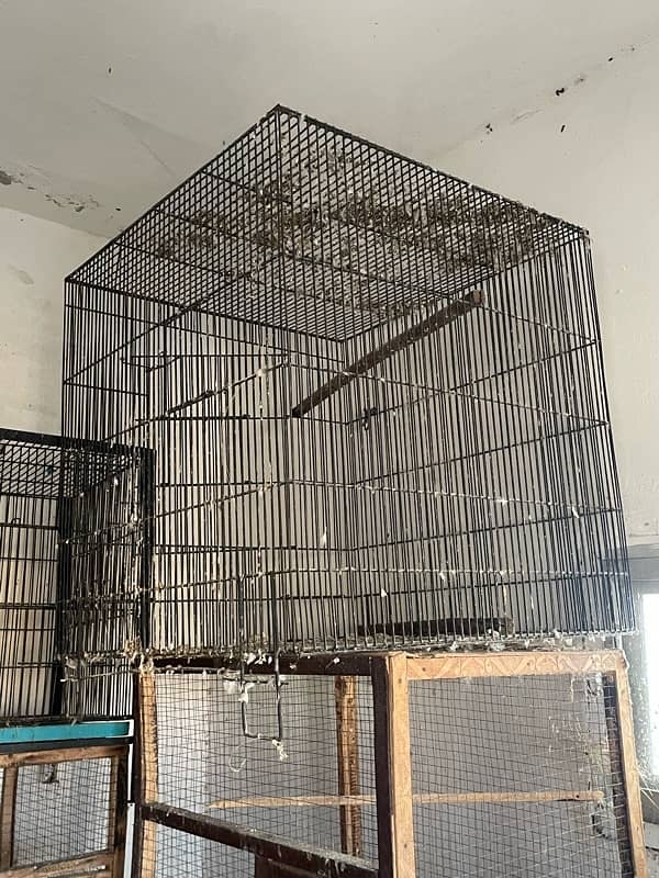 Cages for Sale 1