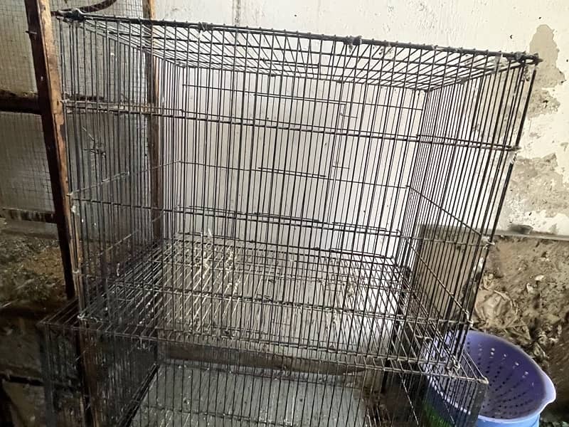 Cages for Sale 4