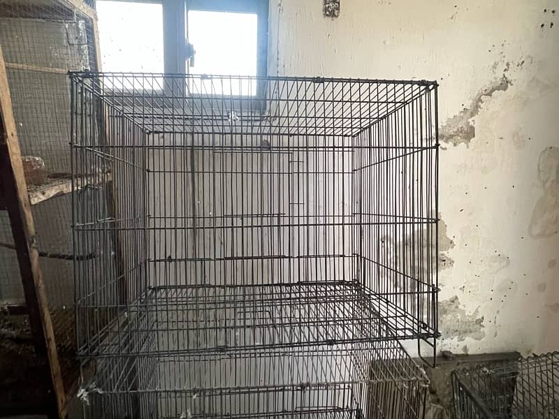 Cages for Sale 5