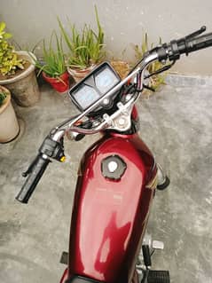 Honda125