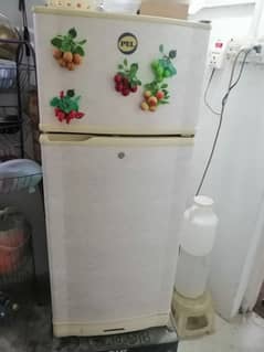 PEL Fridge