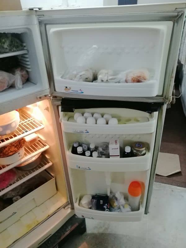 PEL Fridge 3