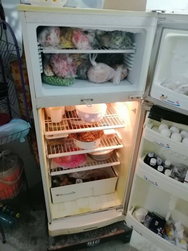 PEL Fridge 4