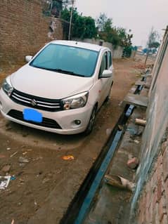 Suzuki Cultus VXL 2019