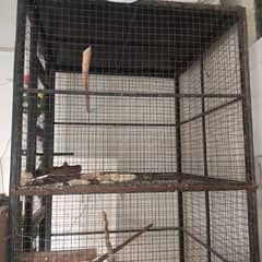 parot cage