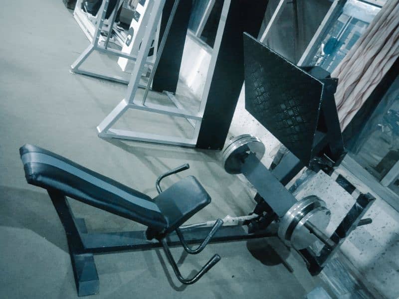 leg press, rowing, preacher curl, butter fly machine hyper extension 0