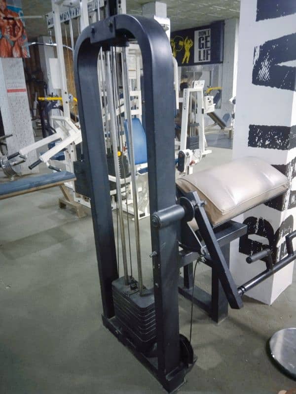 leg press, rowing, preacher curl, butter fly machine hyper extension 3