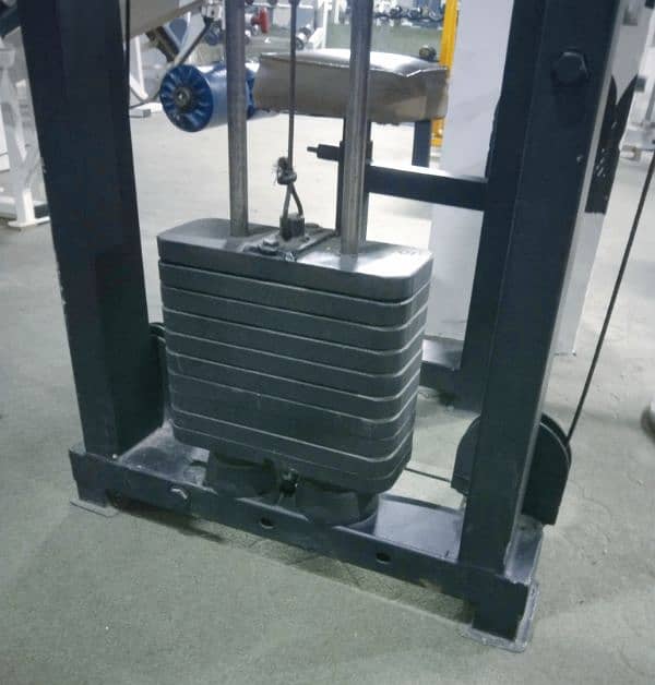 leg press, rowing, preacher curl, butter fly machine hyper extension 5