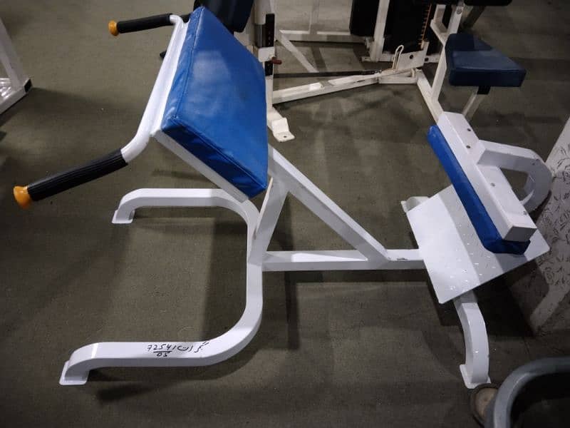 leg press, rowing, preacher curl, butter fly machine hyper extension 8